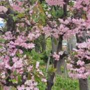 ヒメ日記 2026/07/09 14:22 投稿 空 人妻楼 木更津店