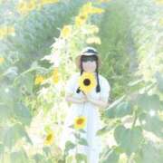 ヒメ日記 2026/08/15 12:03 投稿 みるく コスパラ(梅田)