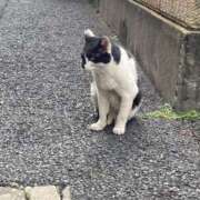 ヒメ日記 2026/09/01 17:44 投稿 まみ 11チャンネル