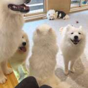 まみ ちょっと大事なお知らせ 11チャンネル