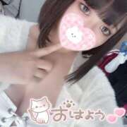 ヒメ日記 2026/07/07 07:15 投稿 すずめ E+アイドルスクール新宿・歌舞伎町店