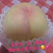 ヒメ日記 2026/07/14 14:14 投稿 あやの 即アポ奥さん～浜松店～