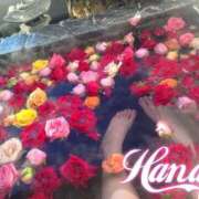ヒメ日記 2026/08/20 00:27 投稿 Hana Moment.(モーメント)