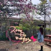 ヒメ日記 2026/07/09 09:45 投稿 かりな サマンサ(和歌山)