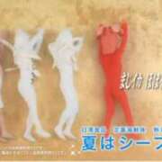 ヒメ日記 2026/07/09 17:00 投稿 しずく MUSE spa