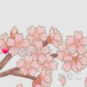 ヒメ日記 2026/07/14 20:55 投稿 ひなこ未経験 マダム可憐