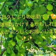 ヒメ日記 2026/10/06 09:40 投稿 ひなこ未経験 マダム可憐