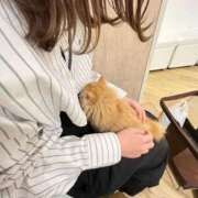 ヒメ日記 2026/08/12 15:49 投稿 くるみ スピード梅田店