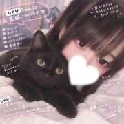 ヒメ日記 2026/10/04 19:44 投稿 しゃけ プレミアム(福原)