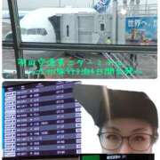 ヒメ日記 2026/07/13 08:40 投稿 かのん 西船人妻花壇