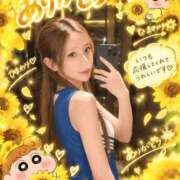 ヒメ日記 2026/09/29 19:57 投稿 ひまわり【VIPコース可能】 Sherbet(シャーベット)