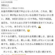 ヒメ日記 2026/08/13 14:47 投稿 うさ【VIPコース可能】 Sherbet(シャーベット)