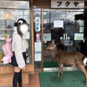 ヒメ日記 2026/07/14 12:17 投稿 めるる【VIPコース可能】 Sherbet(シャーベット)