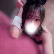 ヒメ日記 2026/08/20 09:21 投稿 なみ JAPAN CLUB BUNNY LOUNGE