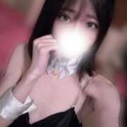 なみ さいしゅうびです^_  ̫ _^🎶 JAPAN CLUB BUNNY LOUNGE