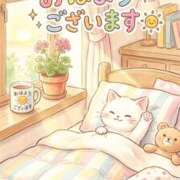 ヒメ日記 2026/07/27 08:33 投稿 香月 MadameRest(マダムレスト)
