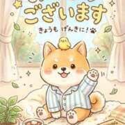 ヒメ日記 2026/10/16 07:41 投稿 香月 MadameRest(マダムレスト)