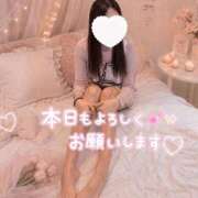 ヒメ日記 2026/08/16 11:20 投稿 シキ　【新人】【超美脚】 Alice