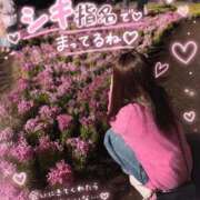 ヒメ日記 2026/09/10 19:50 投稿 シキ　【新人】【超美脚】 Alice
