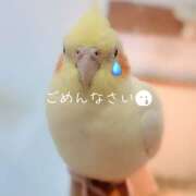 ヒメ日記 2026/10/17 07:10 投稿 天野ひなの 人妻家 古河・小山店