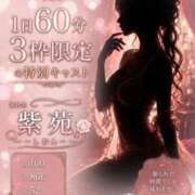 紫苑/SGM まったりイチャイチャ最後まで・・・♡ プロフィール 岡山店