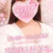ヒメ日記 2026/08/04 12:06 投稿 真白 東京美人妻