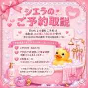 ヒメ日記 2026/08/14 22:19 投稿 しえら ハピネス東京