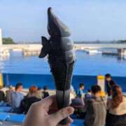 ヒメ日記 2026/08/02 11:05 投稿 ましろ 圧倒的Icupの存在感！ ウエスト・コム