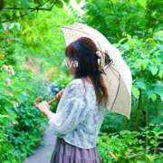 ヒメ日記 2026/07/31 12:46 投稿 橋本あや 華椿