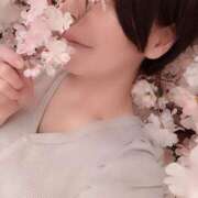 長谷川美緒 8月はこちら プレジデントクラブ