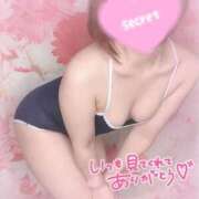 ヒメ日記 2026/07/19 00:04 投稿 しおね お姉ちゃんゴメンね