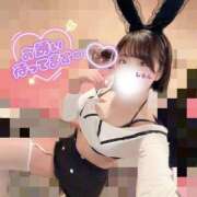 ヒメ日記 2026/07/14 06:00 投稿 しらん ドリーム水戸