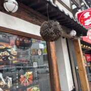 ヒメ日記 2026/07/09 17:56 投稿 まこと 三浦屋別館