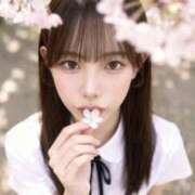 ヒメ日記 2026/07/22 11:41 投稿 りりな・クジラ系美女 Muteki Platinum