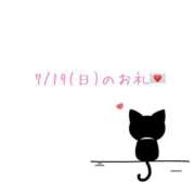 ヒメ日記 2026/07/19 19:55 投稿 のえる ドマーニ