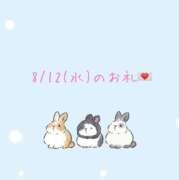 ヒメ日記 2026/08/12 20:19 投稿 のえる ドマーニ