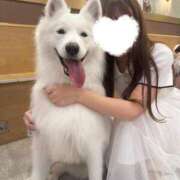ヒメ日記 2026/08/15 13:02 投稿 ねね★完未×坂道系純真美少女★ 渋谷S級素人清楚系デリヘル chloe