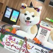 ヒメ日記 2026/10/12 22:33 投稿 ユリ バニーコレクション秋田店
