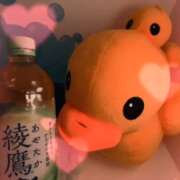 ヒメ日記 2026/08/15 14:36 投稿 れい奥様 なすがママされるがママ