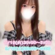 ヒメ日記 2026/09/14 20:20 投稿 ひよ ぐっすり山田　池袋店