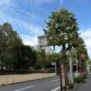 ヒメ日記 2026/10/04 07:42 投稿 目黒ともこ 五十路マダムエクスプレス横浜店（カサブランカグループ）