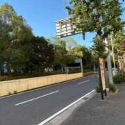 ヒメ日記 2026/10/08 09:08 投稿 目黒ともこ 五十路マダムエクスプレス横浜店（カサブランカグループ）