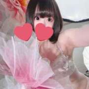 ヒメ日記 2026/07/27 15:00 投稿 はむ JAPAN CLUB BUNNY LOUNGE