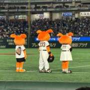 ヒメ日記 2026/08/04 17:43 投稿 はむ JAPAN CLUB BUNNY LOUNGE