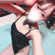 ヒメ日記 2026/08/14 08:15 投稿 はむ JAPAN CLUB BUNNY LOUNGE