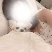 ヒメ日記 2026/08/02 19:28 投稿 のぞみ 大和人妻城