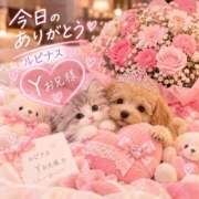 のぞみ 御礼💌　ルピナスYお兄様💗 大和人妻城