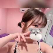 せぶん 🐶せぶんぶん４日目🐶 ハピネス＆ドリーム福岡