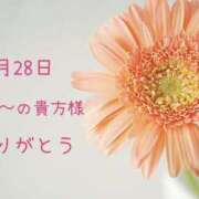ヒメ日記 2026/09/29 11:16 投稿 愛川 舞 エレガンス(福島)