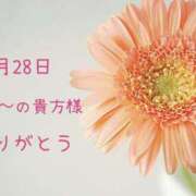 ヒメ日記 2026/09/29 13:20 投稿 愛川 舞 エレガンス(福島)